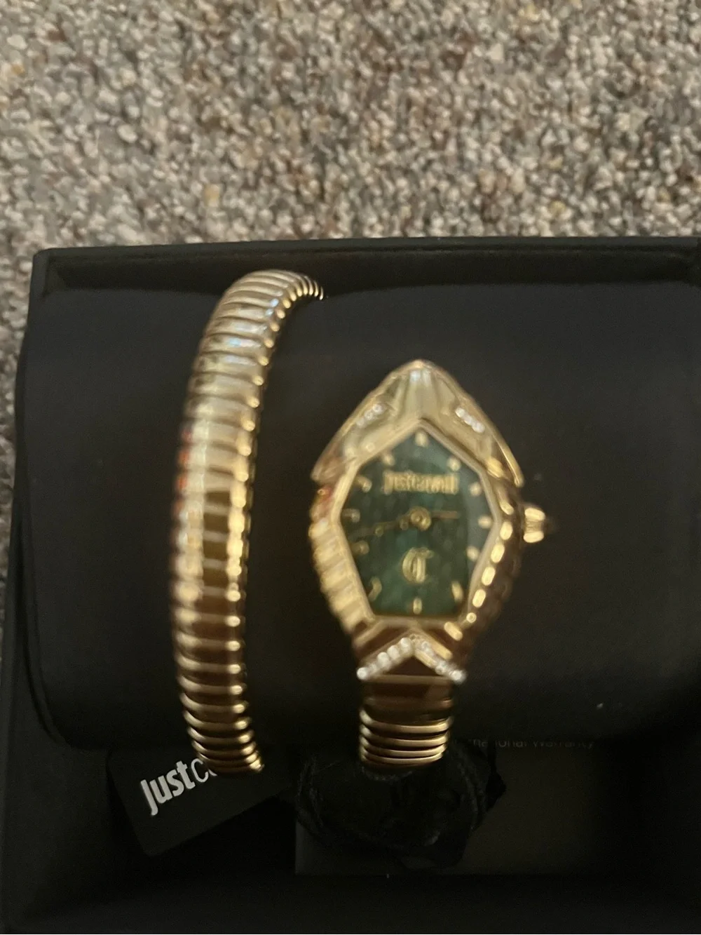 Just Cavalli by Roberto Cavalli Serpentine Wraparound Watch